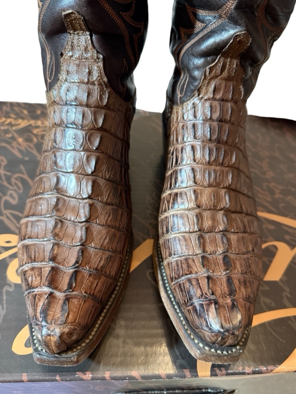 Lucchese Heritage Hornback Caiman Tail Leather Boots, Style # N4081, Rare! - Picture 2 of 12